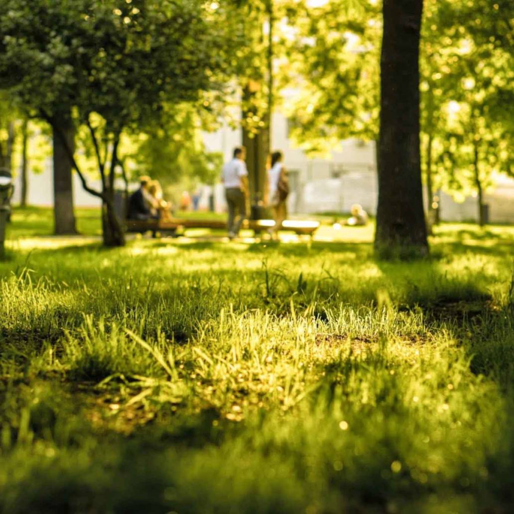 About - Bellforge Arts Center Project Overview